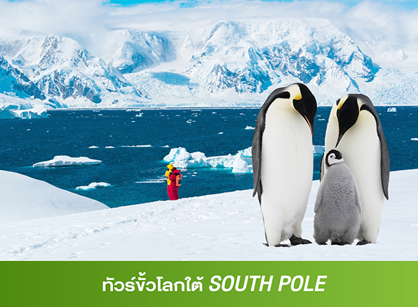 ทัวร์ขั้วโลกใต้ South Pole